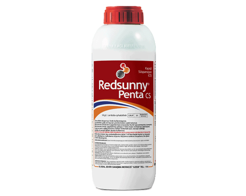 Redsunny penta, CS