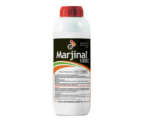 Marjinal 100 EC