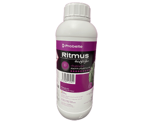 Ritmus EC