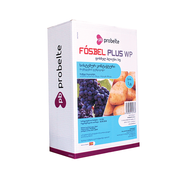 Folbel pluse WP